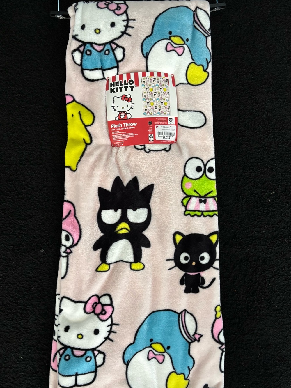 Hello Kitty Sanrio Characters Pink Plush Throw Blanket 50x70 NWT